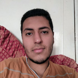 Mohamed Karam